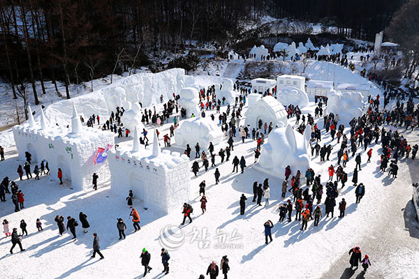 태백산 눈 조각 이미지 - 참뉴스