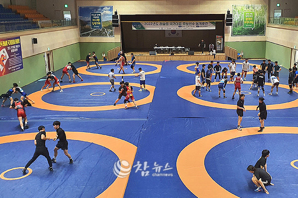 레슬링 청소년 국가대표팀이 오는 18일부터 29일까지 스포츠의 메카 인제군에서 동계 합숙훈련을 진행한다. (사진=인제군청 제공)