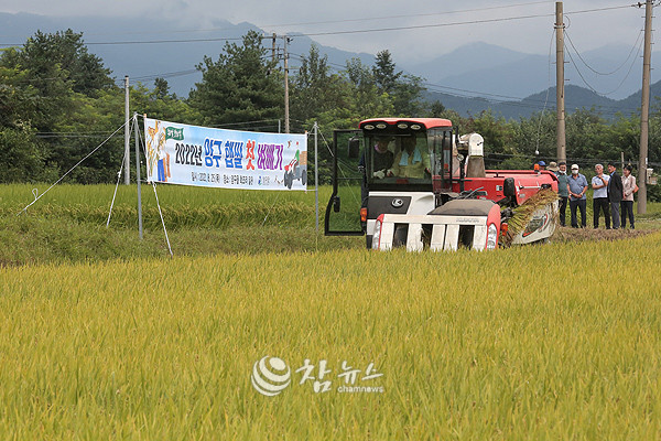 강원 양구군은 벼 농가의 고품질 쌀 생산과 경영비 절감으로 농가 소득을 높이기 위해 적극적인 지원에 나선다. (자료사진 ⓒ양구군) 