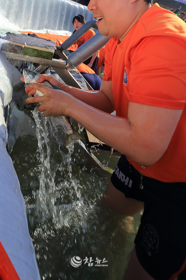 1일 강원 화천군 화천읍 화천천에서 열리고 있는 ‘2026 얼음나라 화천 산천어축제’ 행사장에서 관광객들이 산천어 맨손잡기 체험을 하고 있다. ⓒ2026 참뉴스/정광섭