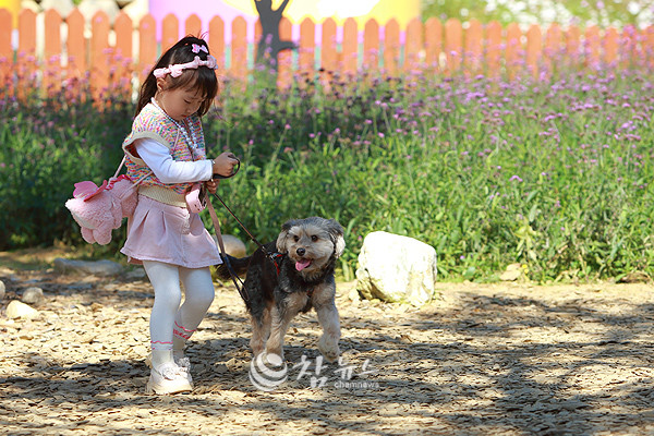 강원 태백시는 반려인과 비반려인, 반려동물이 조화롭게 공존하는 도시 환경 조성을 위해 지난 3월부터 시행된 ‘반려동물 동반 출입 음식점 제도’의 안정적인 정착을 적극 지원한다. (자료사진)