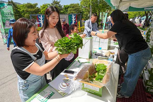 ‘청춘양구 곰취축제’ . (사진=양구군청 제공)