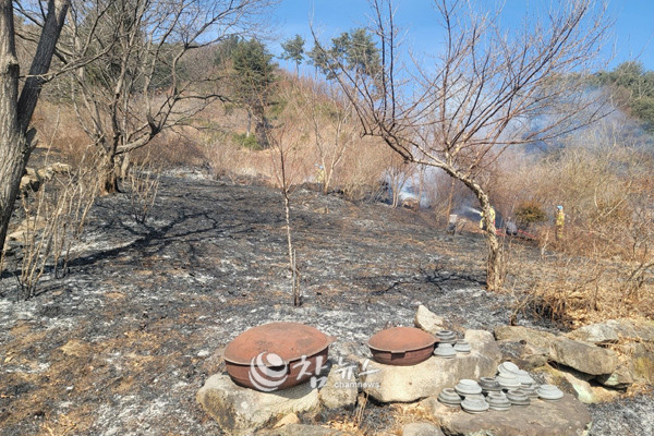 강원 평창군은 봄철 건조한 날씨와 강풍으로 산불 발생 위험이 커짐에 따라 산불 예방 단속을 강화한 결과, 불법 소각 행위 7건을 적발, 과태료를 부과했다. (사진=평창군청 제공)